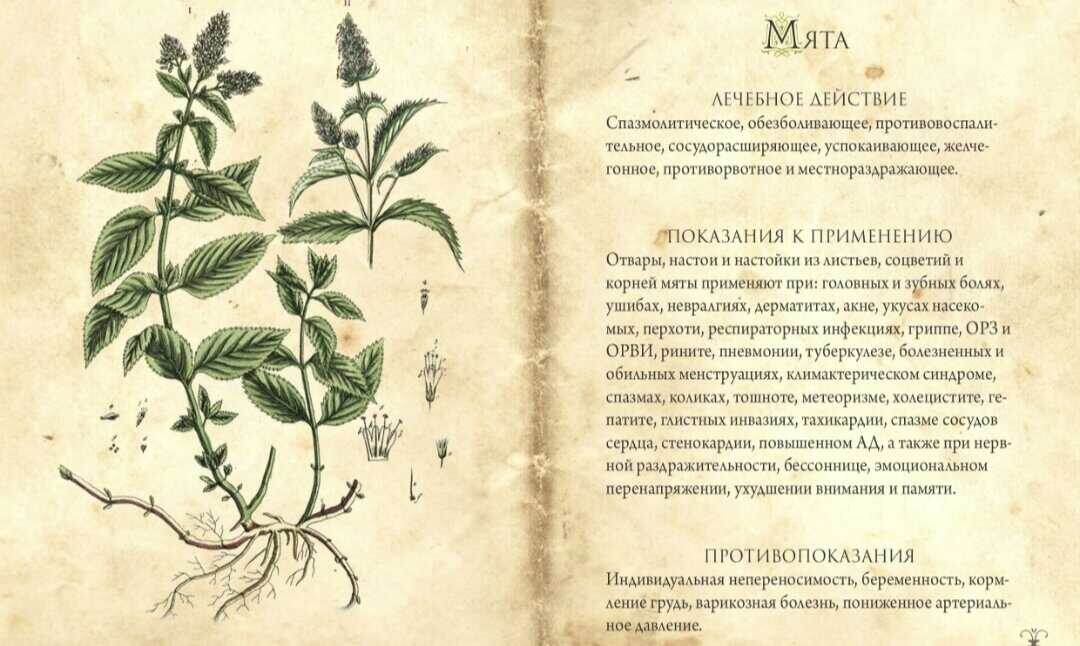 для атмосферы 