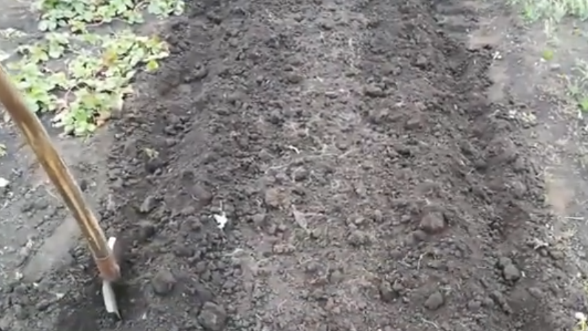 Готовлю грядку под чеснок