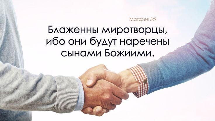 Из открытых источников Яндекса.