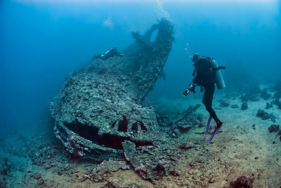    Shutterstock/FOTODOM