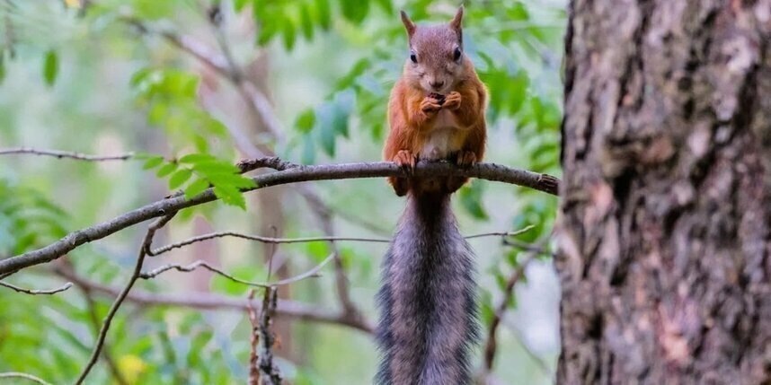    Алёна Бобрович
