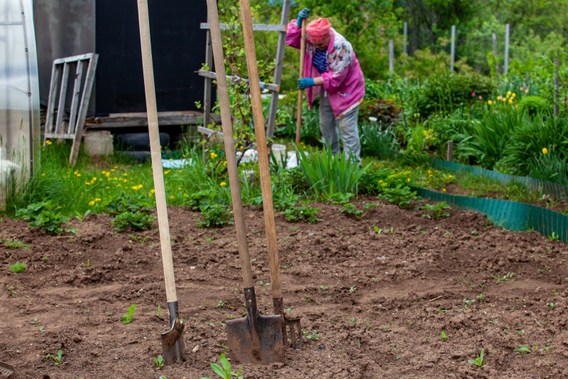    Фото: Oksana Korol/Globallookpress