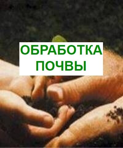 Обработка почвы на грядках