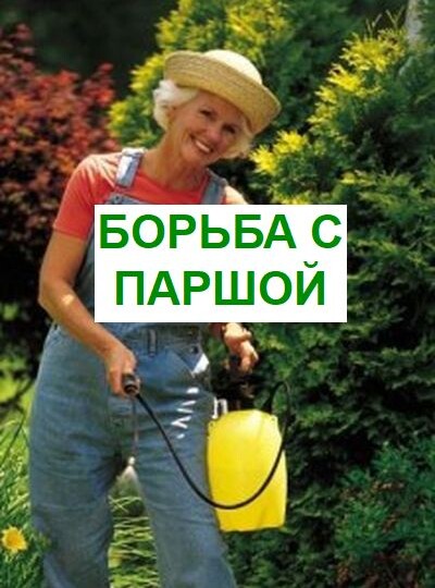 Борьба с паршой, чем и как
