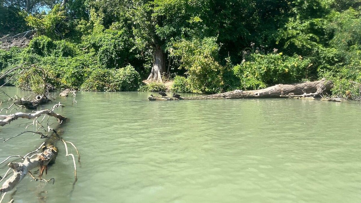    Фото: телеканал «Краснодар»