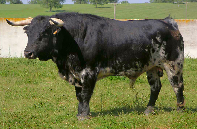 Фото: dasauchnoch.livejournal.com