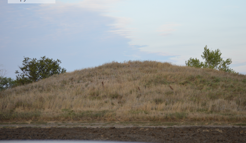 Фото автора. Август 2025. Древний курган на полях агрофирмы.