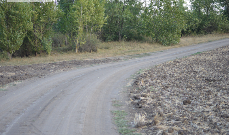 Фото автора. Август 2025. Грунтовая дорога по краю поля.