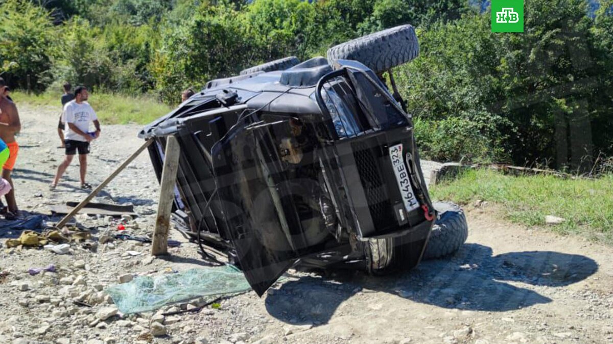    Фото: sochitypical / t.me