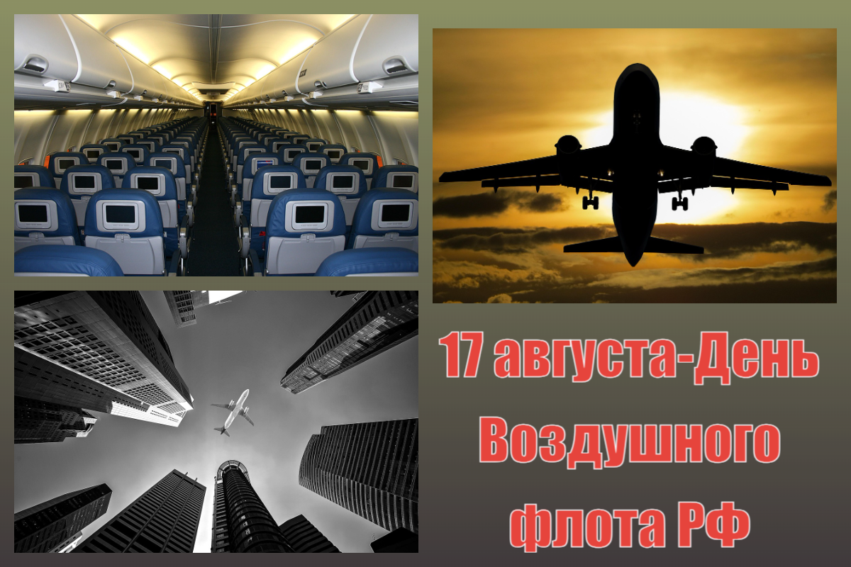 17 августа - День Воздушного флота РФ - Коллаж Драга.Лайф/pixabay.com