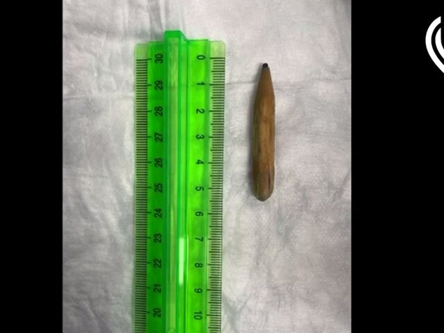    Фото: департамент здравоохранения Москвы/