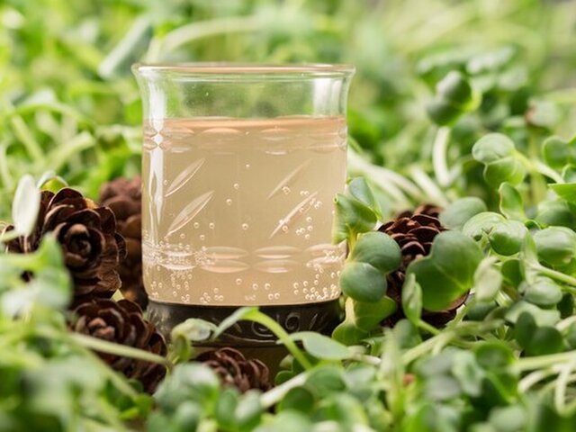    Фото: 123RF/danilsneg