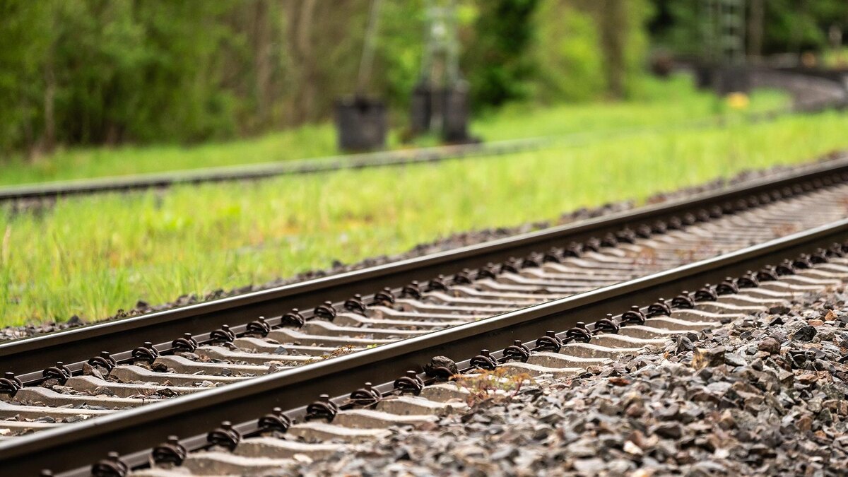    Фото: Silas Stein/globallookpress.com