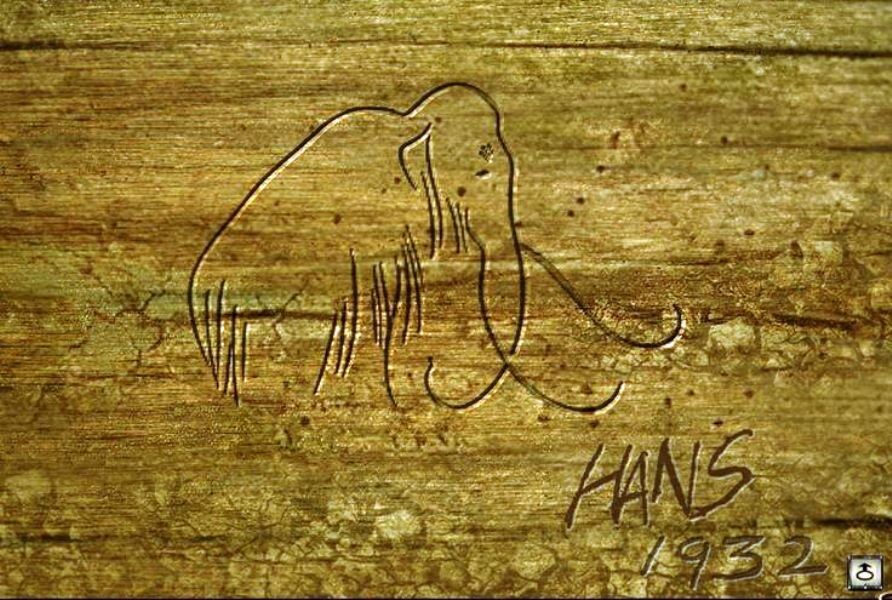 Тот самый рисунок