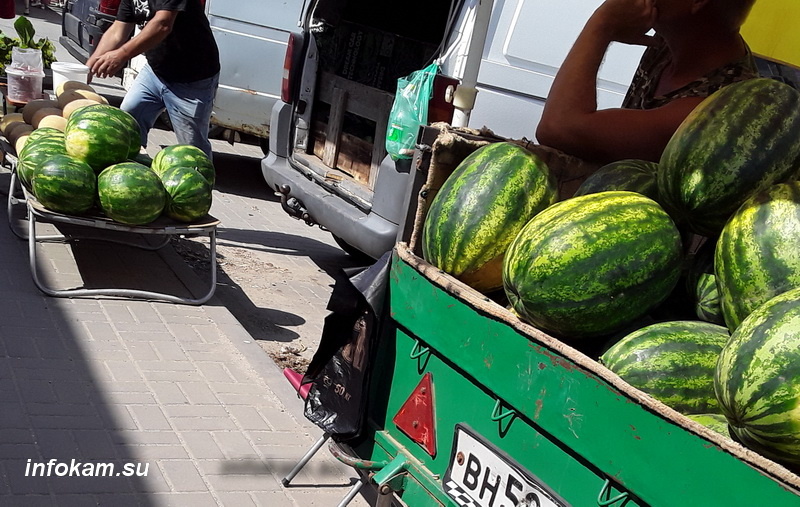    Камышинские арбузы
