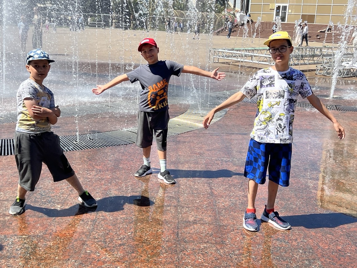 Мои любимчики