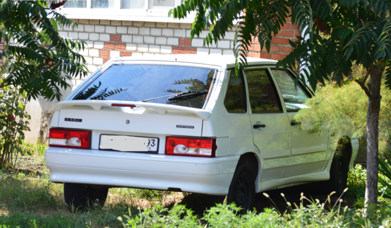 Фото автора. Август 2025. Станица.