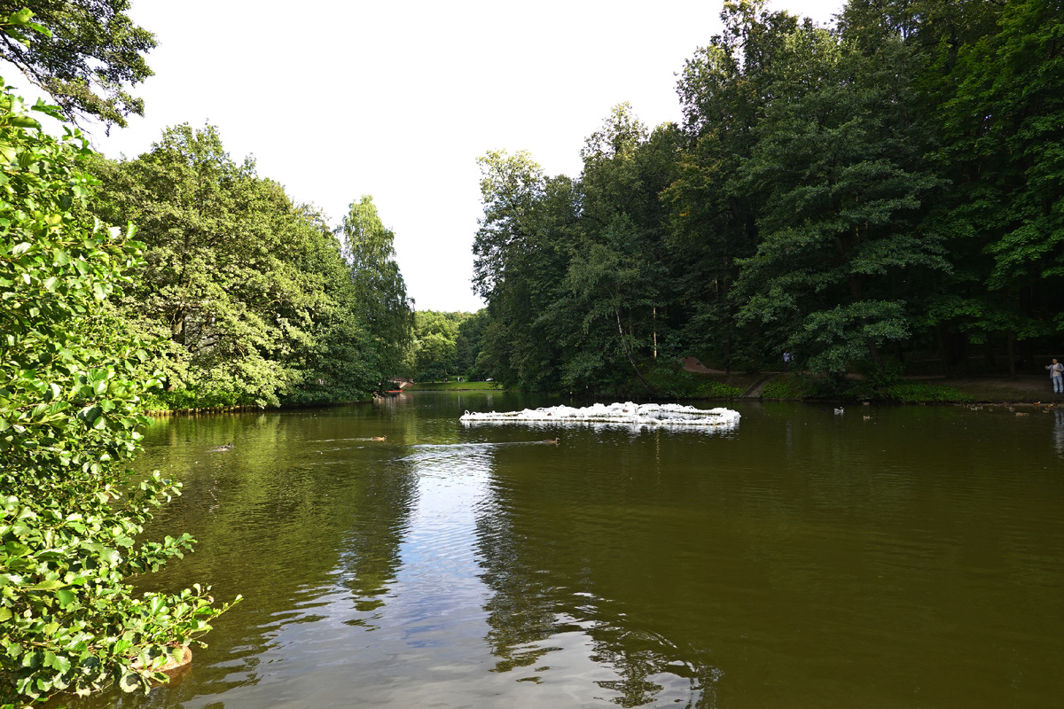 Объект в пруду