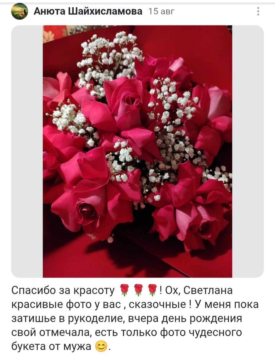 скрин комментария к статье на этом канале