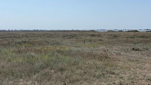    © РИА Новости Крым