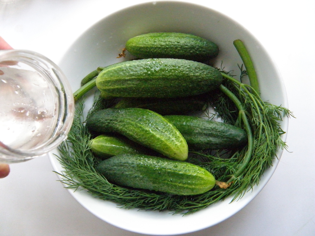 Хочу добвить, что луховицкие огурцы лучше брать , если вообще нет огурцов. Пупырчатые - они вкуснее, и больше хрустят. 