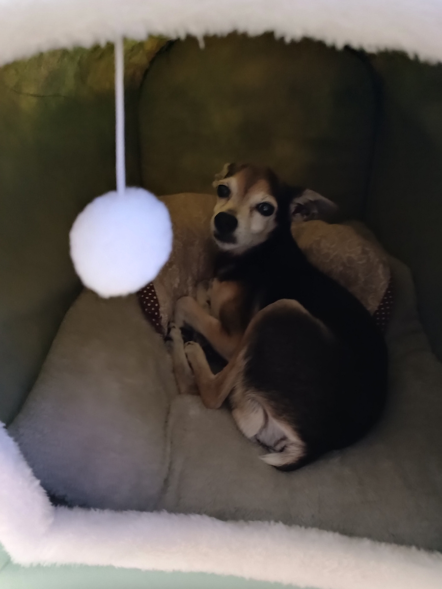 Джек устроился на ночёвку 