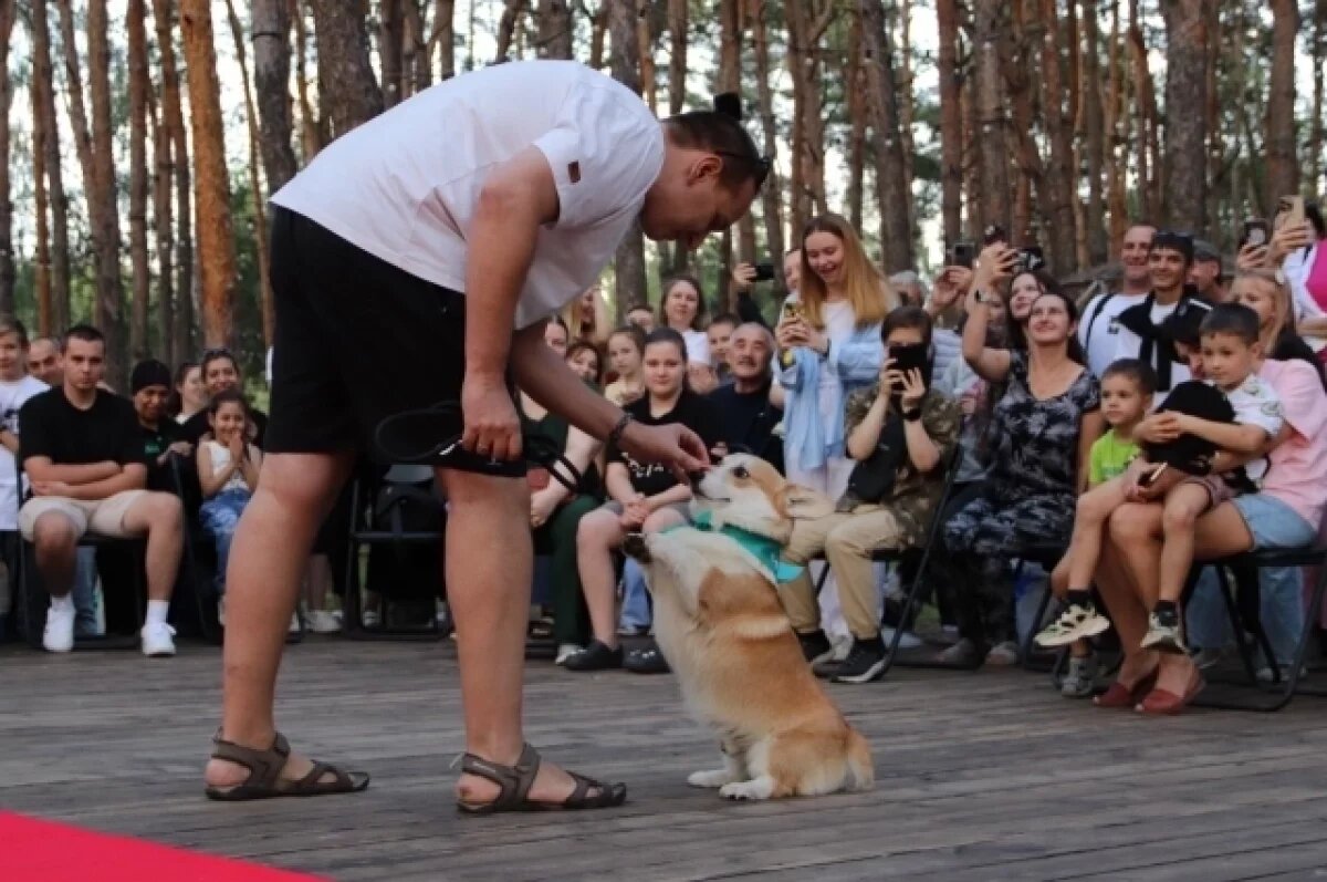    В Воронеже прошла благотворительная выставка собак