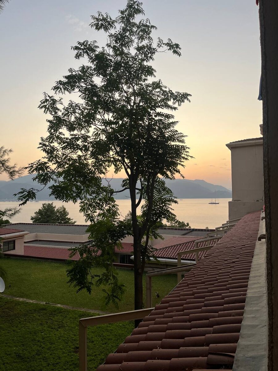 Вид из номера