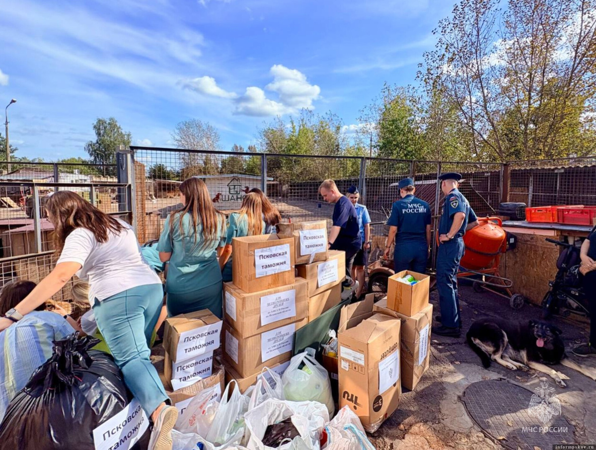Фото здесь и далее: пресс-служба ГУ МЧС России по Псковской области