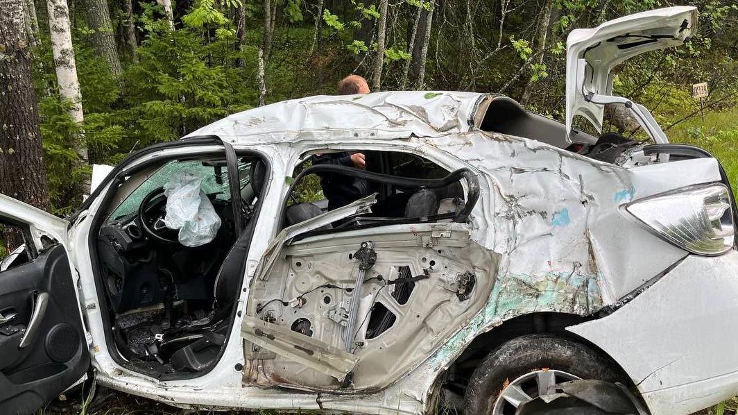    Фото: t.me/kareliaproc