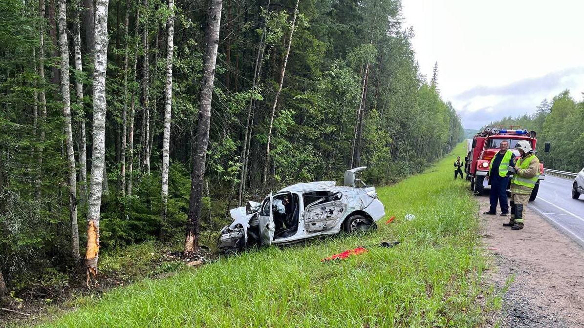    Фото: t.me/kareliaproc