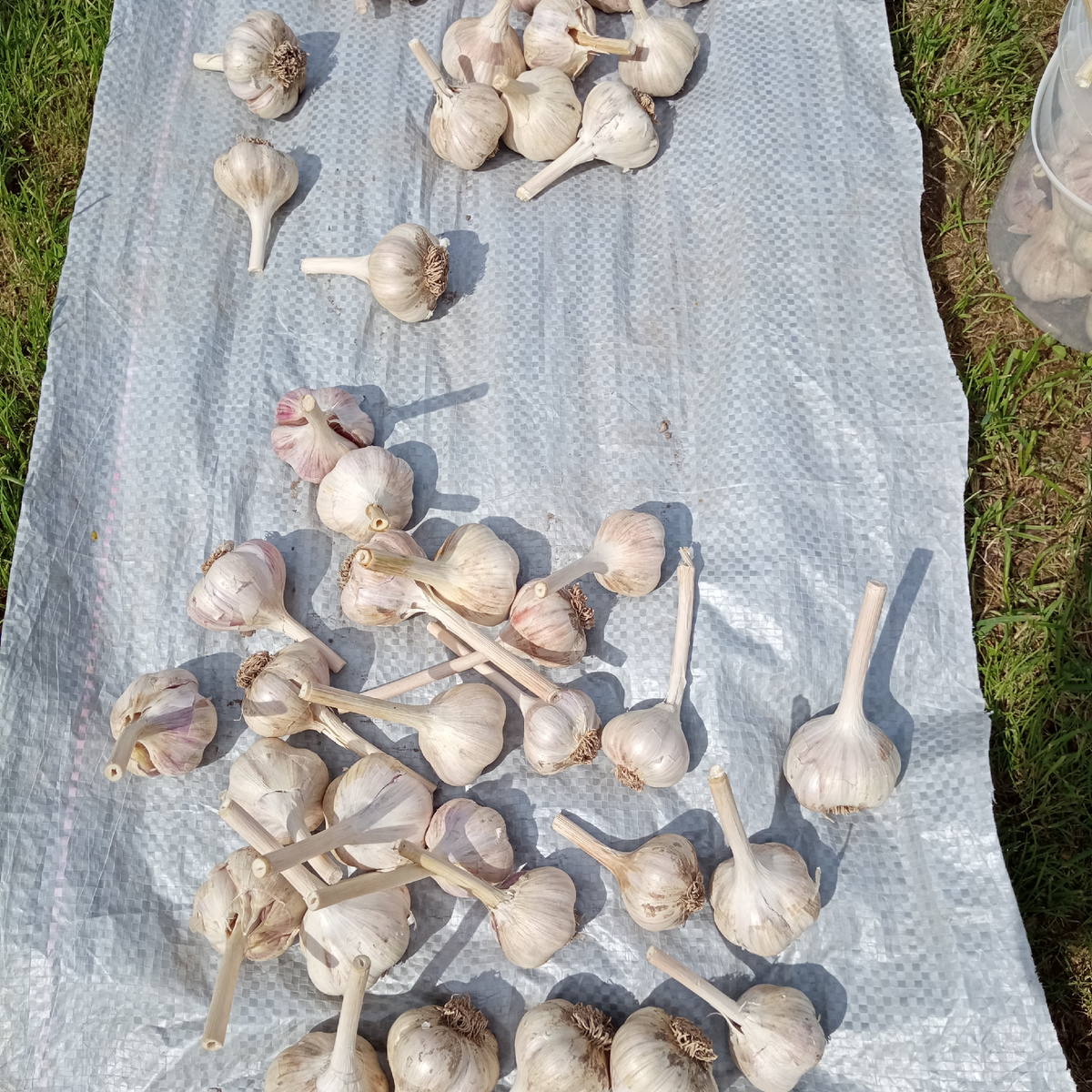 оставил себе на посадку 