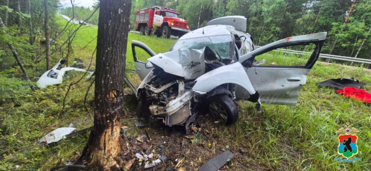    Фото: МВД Карелии