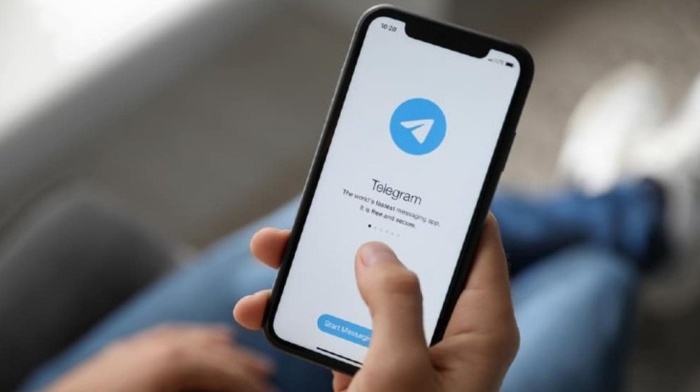   Как дети покупают поддельные справки у «врачей» из Telegram