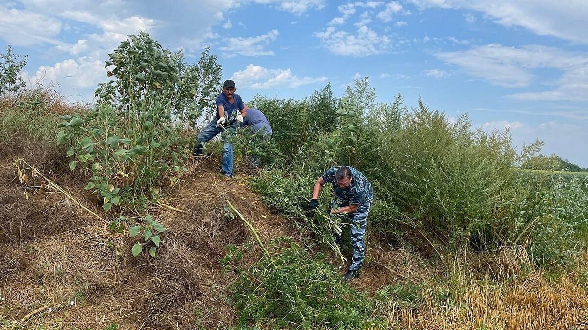    Фото: пресс-служба администрации Краснодарского края
