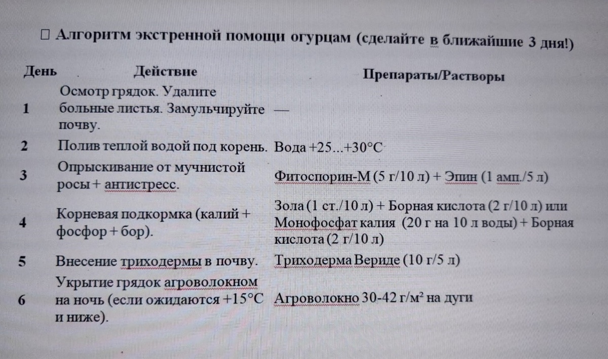 Таблица и фото Натальи Мироновой