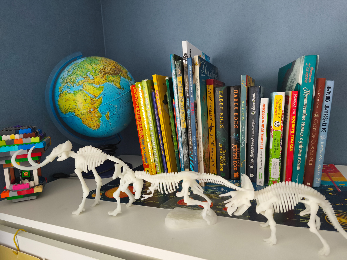 Одна из книжных полок моих детей.