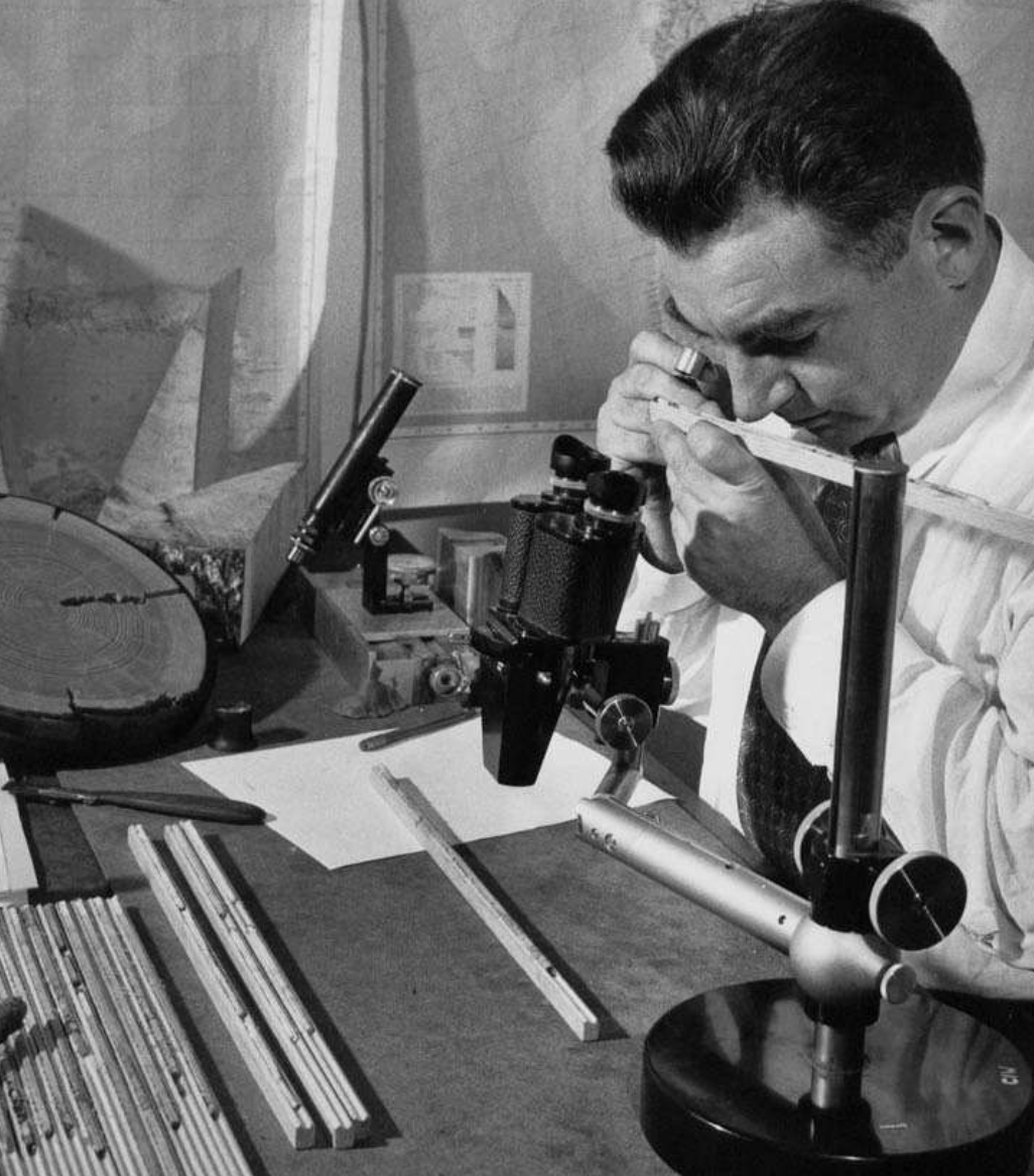 Доктор Эдмунд Шульман