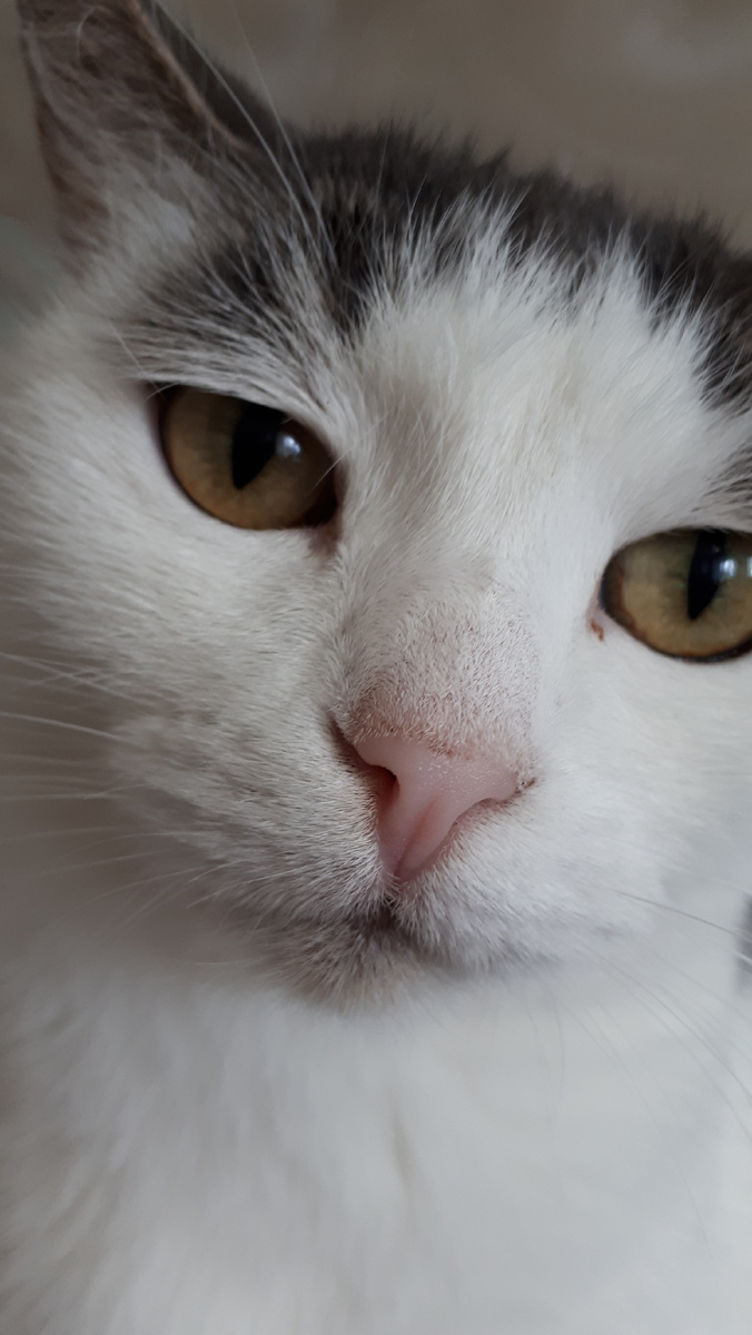 Ксюнька моя . Девочка моя , ты самая лучшая ...