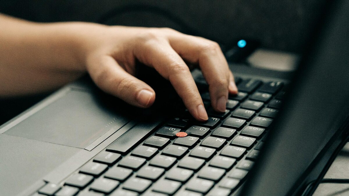 Фото: unsplash.com