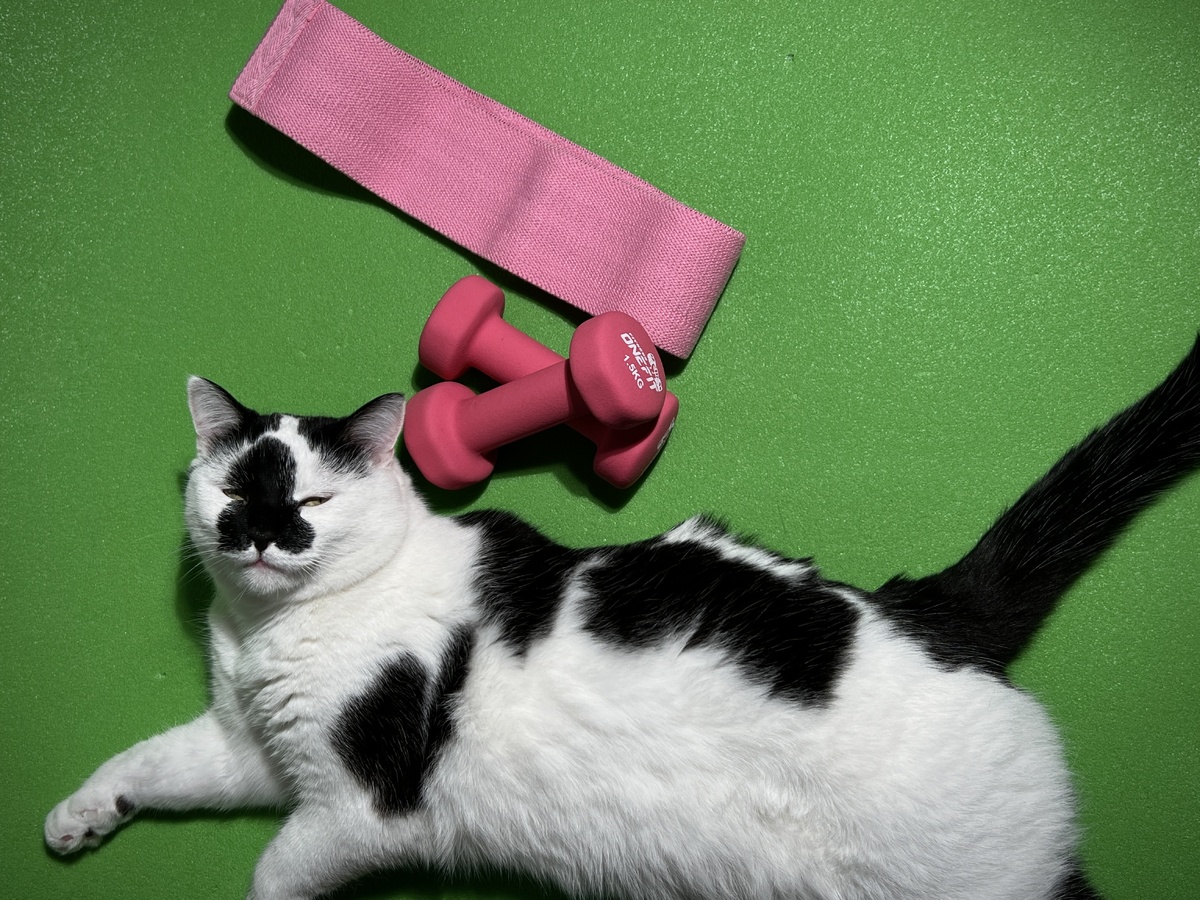 Это мой Аксель и его отношение к спорту