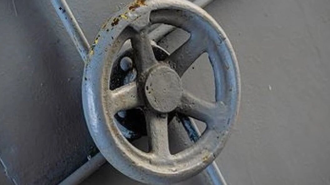    © Ruslan Yarocky/Globallookpress