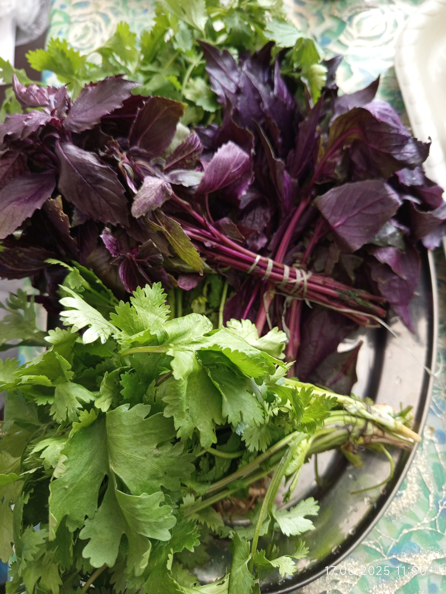 Ольгина радомть