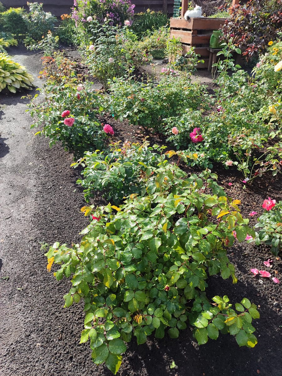 Вторая, бесподобная волна на подходе