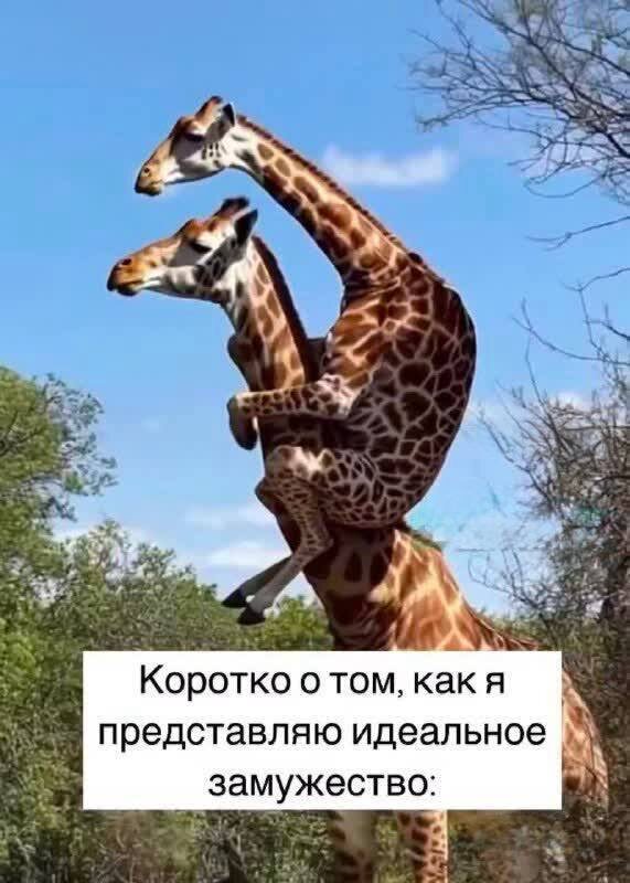 -5