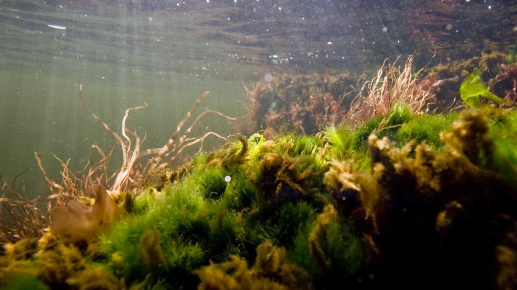    Sergey Tzarev/Russian Look/Globallookpress