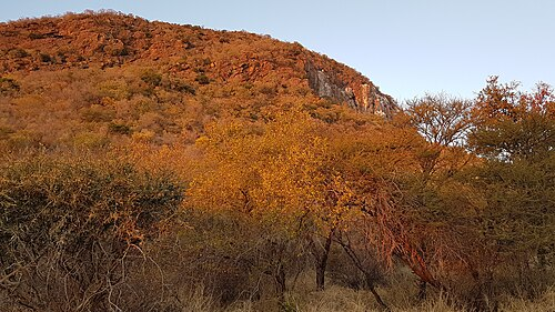 Фото с сайта https://en.wikipedia.org/wiki/Monalanong_Hill