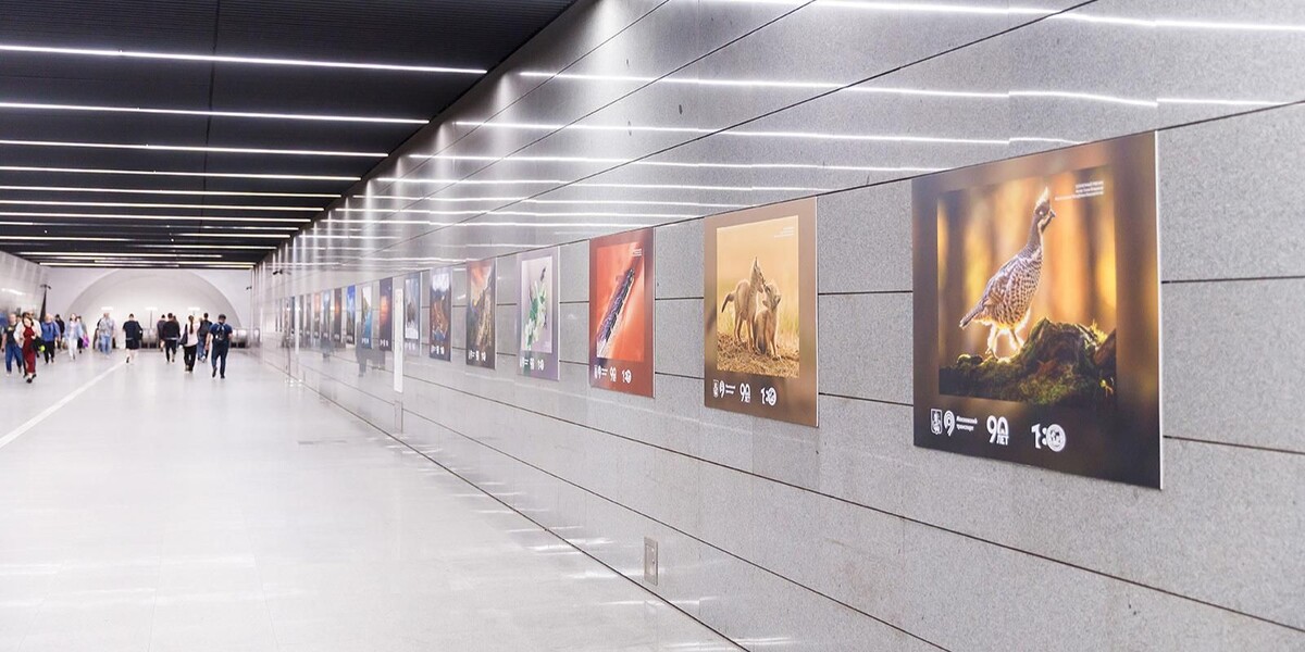 📷 1.1: Переход «Петровский парк» → эскалаторы на «Динамо», вид на галерею с серией работ «Самая красивая страна!» | пресс-служба Московского метрополитена. mos.ru
