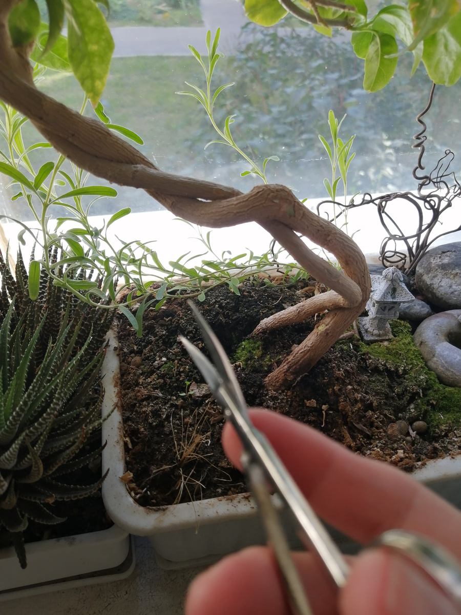 Ювелирная работа, поэтому ножницы для "тонких работ". Кстати, в изогнутом стволе кое-что изменилось