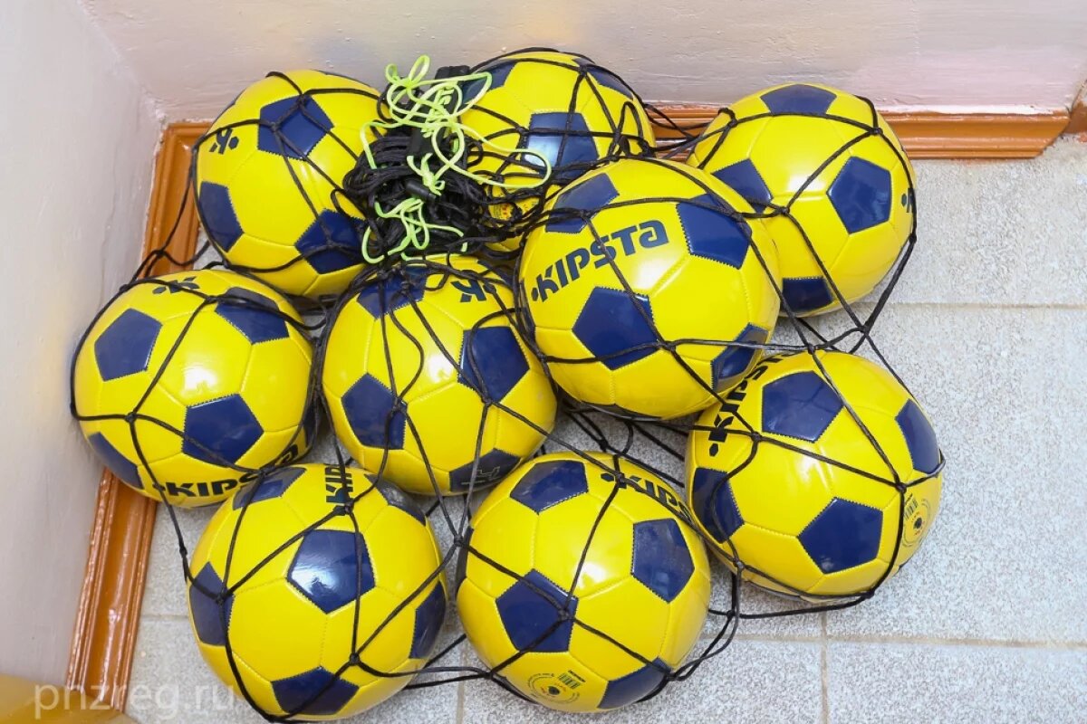    Мини-футбольную команду «Лагуну Уор» в Пензе покинул тренерский штаб